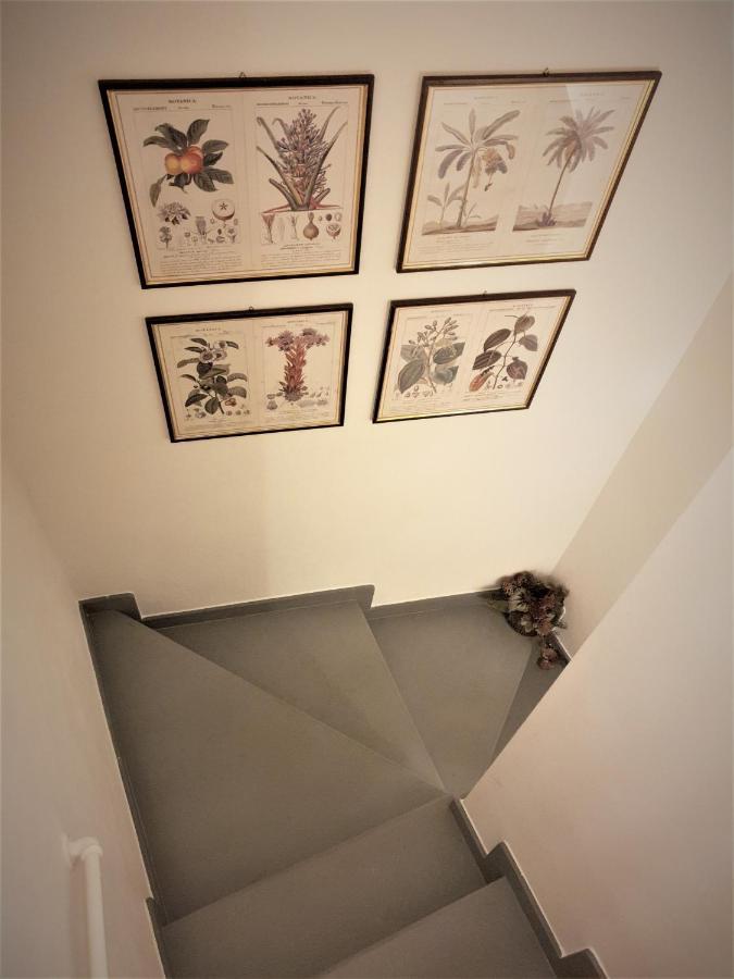 Castle Rooms プラート エクステリア 写真