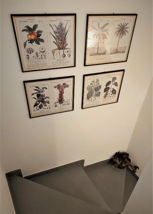 Castle Rooms プラート エクステリア 写真
